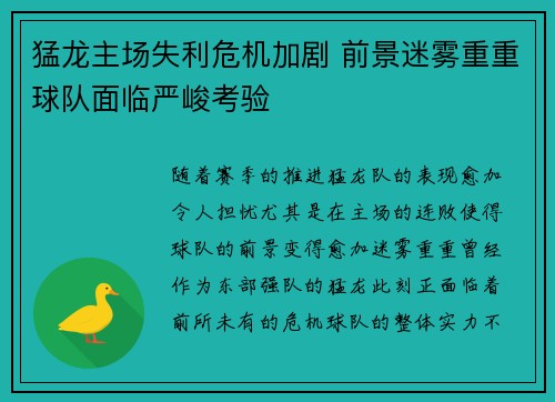猛龙主场失利危机加剧 前景迷雾重重球队面临严峻考验